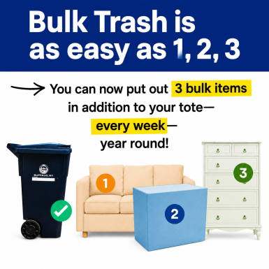 City of Buffalo - Bulk Trash Pickup